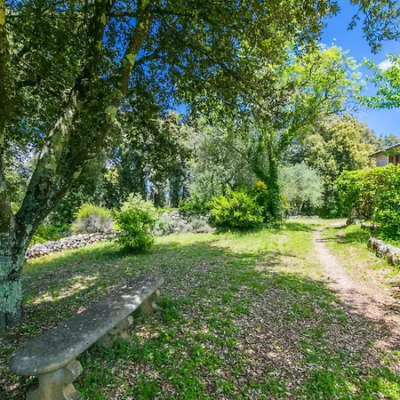 Holiday home Casino Di Lecceto By Interhome Siena